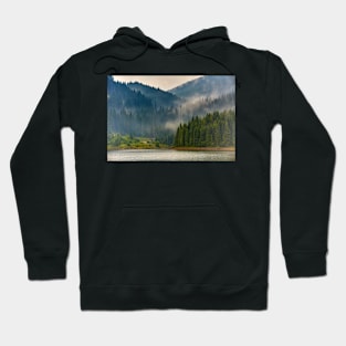 Lake Vidra in Romania Hoodie